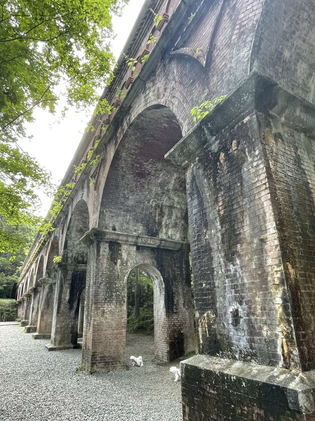 南禅寺の境内にあるひときわ存在感を放っている水路橋🧱🤩
