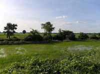 Exploring Battambang