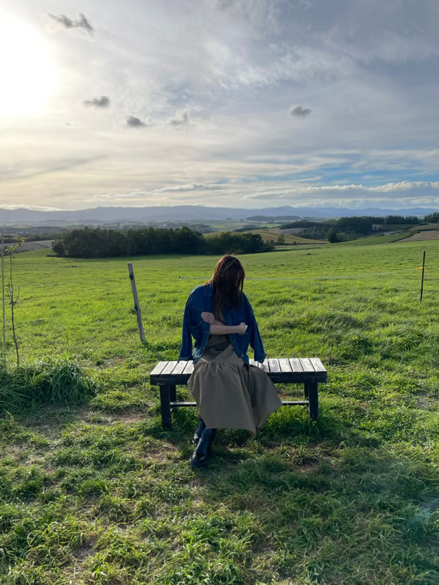 雄大な美瑛の自然を感じられる牧場🐄🌿ここでしか食べられない絶品ソフトクリームやチーズトーストは絶対に食べるべき🤤🧀