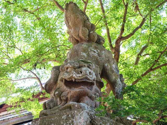 【島根県】 建立時期も不明な古代出雲の謎に包まれた神秘の神社『揖夜神社』⛩️