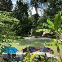 🌿 Escape Into Nature – Without Leaving KL!