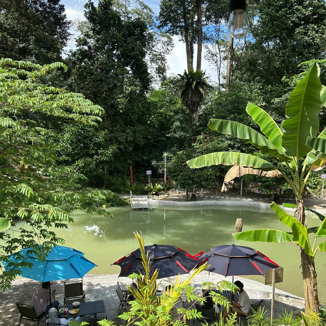 🌿 Escape Into Nature – Without Leaving KL!