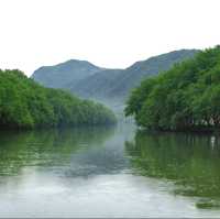 🌿 縉雲仙都 | 被滿屏綠意治癒的24小時