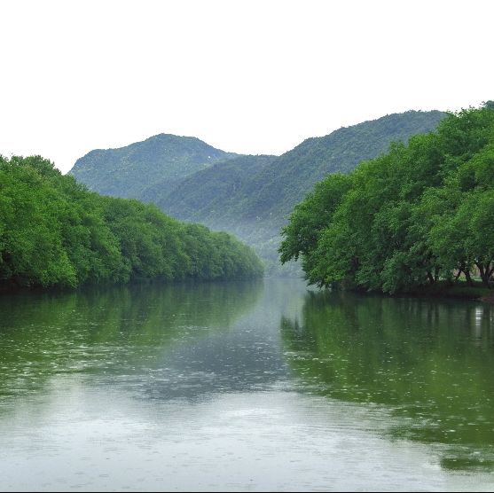 🌿 縉雲仙都 | 被滿屏綠意治癒的24小時