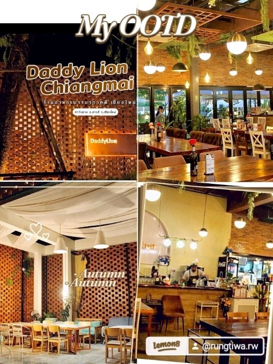 #DaddyLionChiangmai