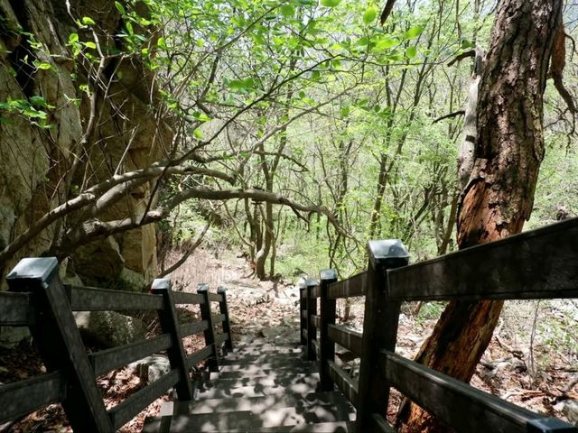 Tiny Hike, Big Vibes