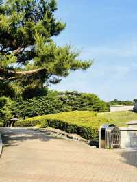 Namsangol Park: An Urban Oasis Beyond the Hanoks