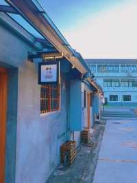 宜蘭龜山島賞鯨