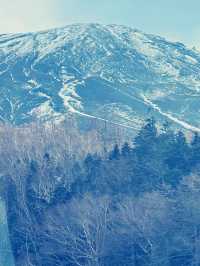 東京富士山五合目購物攻略｜山間特色伴手禮精選