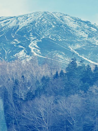 東京富士山五合目購物攻略｜山間特色伴手禮精選