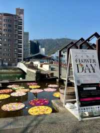 A Day by the Water at Shinmachi River Park 💐🌙