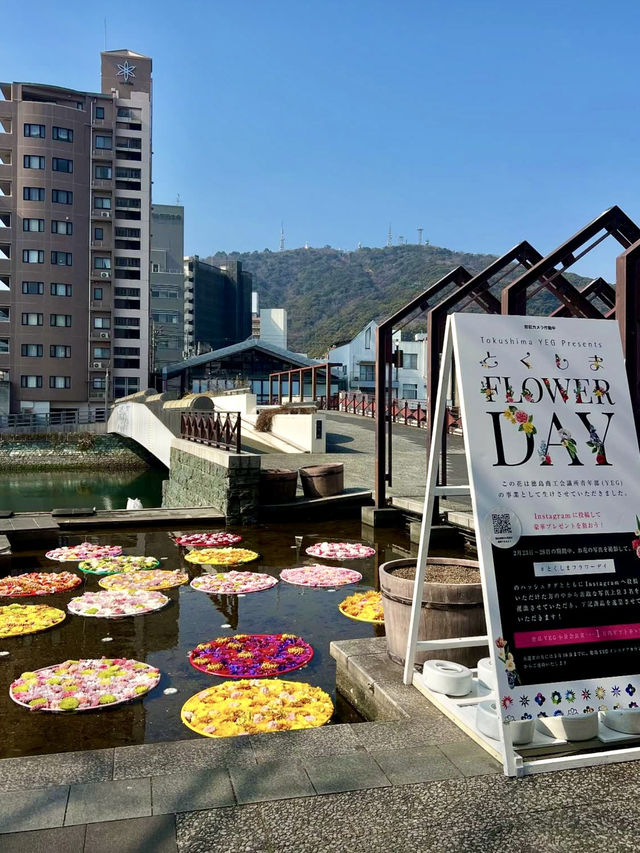 A Day by the Water at Shinmachi River Park 💐🌙