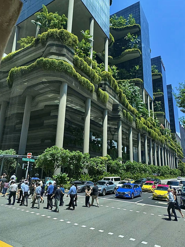 สิงคโปร์🇸🇬