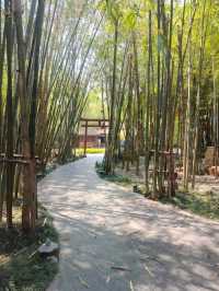 Nekoemon Cafe Chiangmai