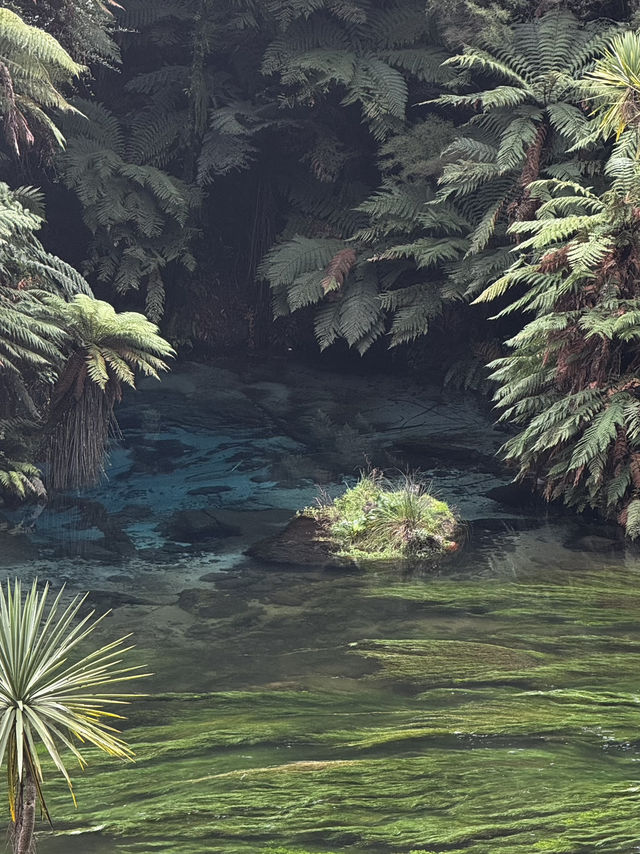 Blue Springs, NZ