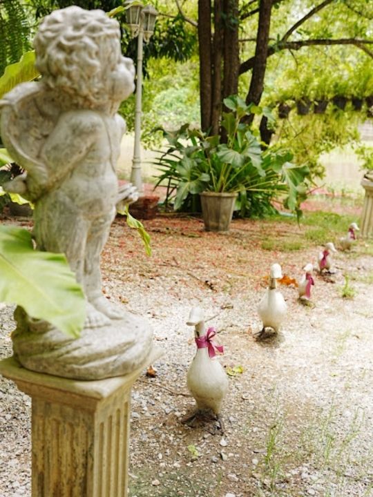 💐 บรรยากาศดี Sweet Rice  Cafe @Sukhothai