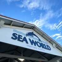 🐬 Sea World Gold Coast | Ocean Park Adventure