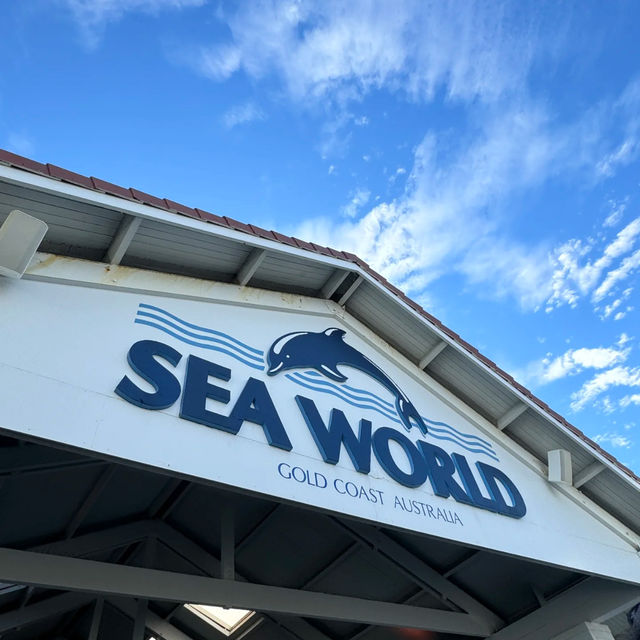 🐬 Sea World Gold Coast | Ocean Park Adventure