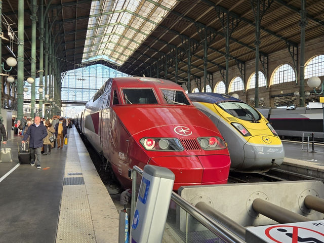 🚄ヨーロッパ交通事情🚆🚖