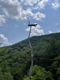 포항 산속에 숨겨진 비밀같은 공간, 선류산장☁️