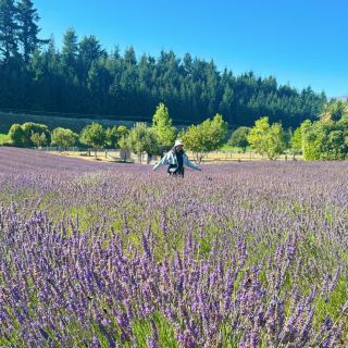 A Must-Visit Spot in Wanaka, New Zealand!