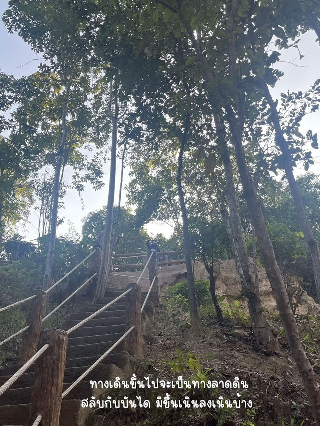 ผาช่อ ความงามที่ธรรมชาติรังสรรค์🏜️✨