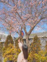 봄이 오는 소리가 들리는 순천 사운즈 옥천🌸❤️