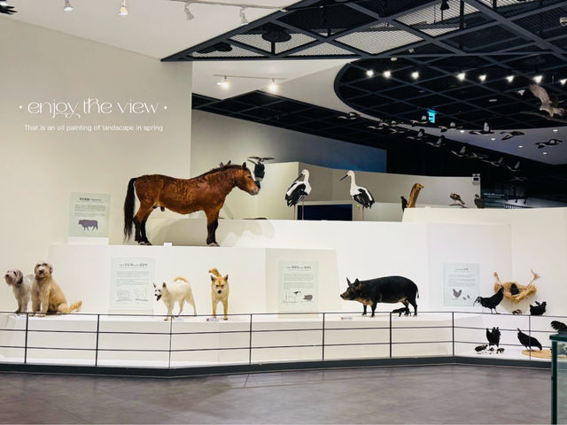 A Delightful and Relaxing Visit to Daejeon's National Heritage Center