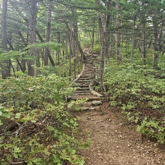 A Casual Hike to Birobong at Odaesan