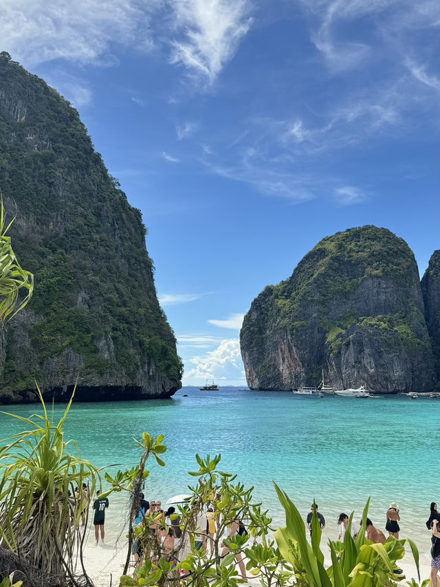 Maya Bay , Phi Phi Island 🐠🦀🪸