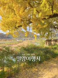 밀양 힐링여행 다녀왔습니다! - 밀양여행지 💛🍀🌿