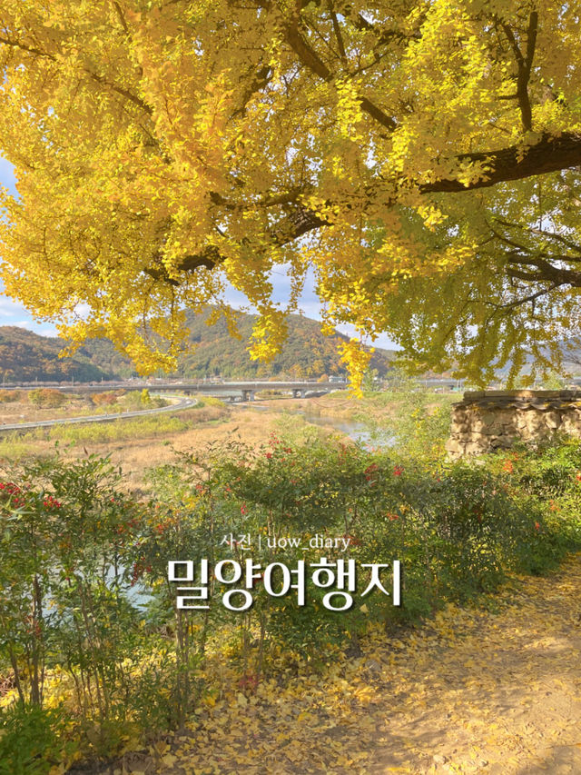 밀양 힐링여행 다녀왔습니다! - 밀양여행지 💛🍀🌿