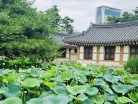 A Refreshing Escape in Songdo: Review of Michuhol Park