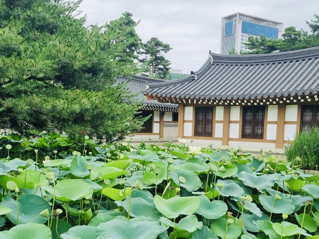 A Refreshing Escape in Songdo: Review of Michuhol Park