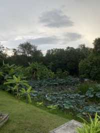 Queen Sirikit Park สวนสวยกลางกรุง