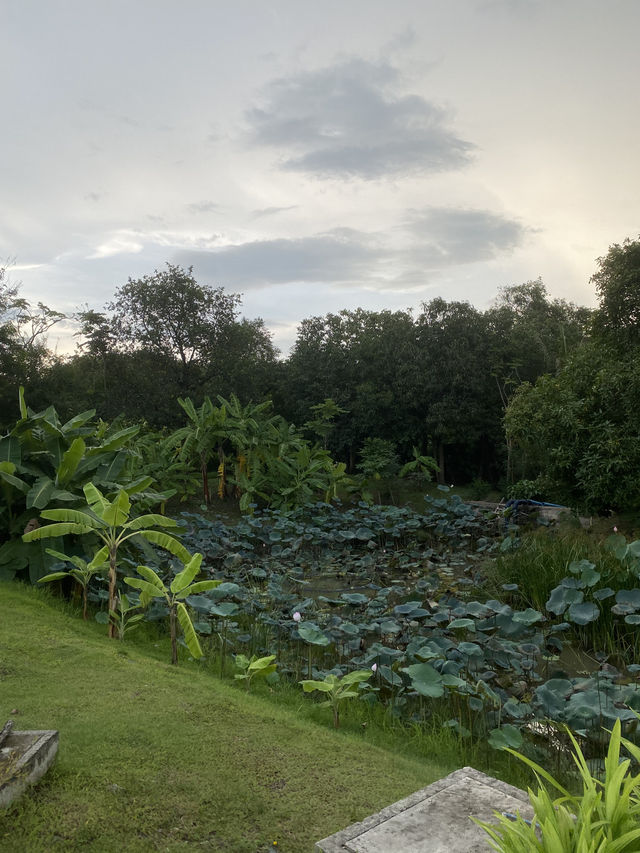 Queen Sirikit Park สวนสวยกลางกรุง
