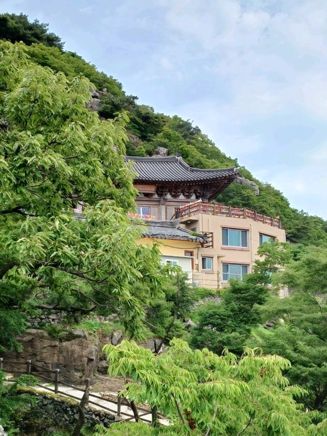 바다와 숲이 만나는 천년의 산책