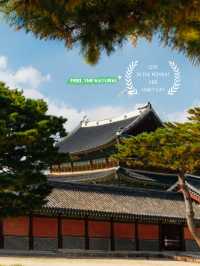 A Tranquil Retreat at Hyundai Wonseo Park in Bukchon