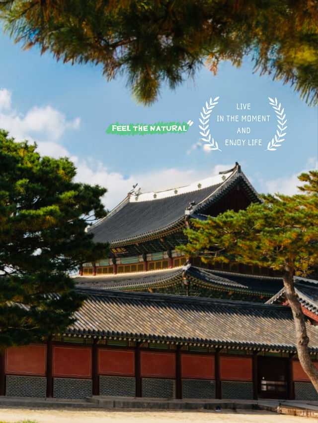 A Tranquil Retreat at Hyundai Wonseo Park in Bukchon
