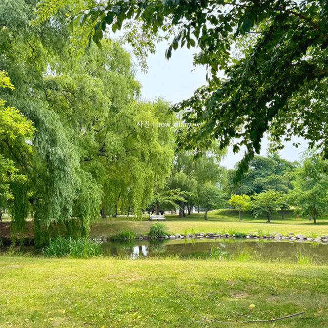 삿포로 여름, 푸르른 나카지마공원🌳💛