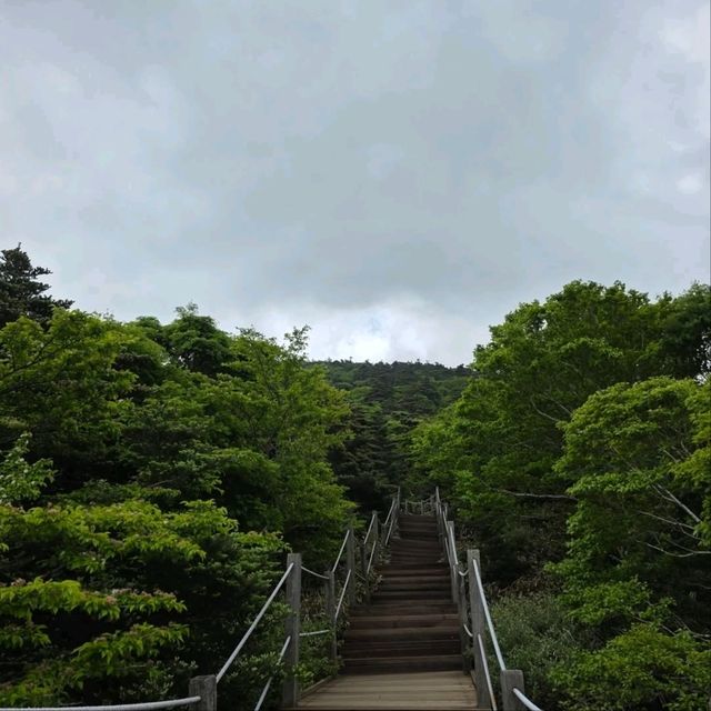 1950m of Sweat, Clouds, and Total Wow
