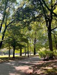 🍃【東京・清澄公園＆庭園（清澄庭園）】下町に息づく自然と歴史、静かな四季の贅沢パークステイ