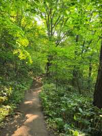 해외여행 삿포로 등산 Mount Moiwa Hiking Walking trail 