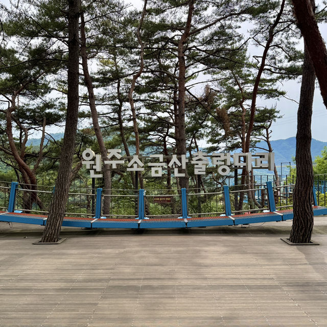 원주 필수 여행코스 소금산 그랜드밸리