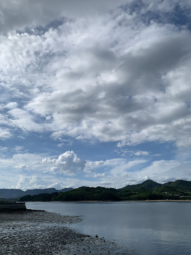 【広島🇯🇵】瀬戸田で迎える夏☀️🌻