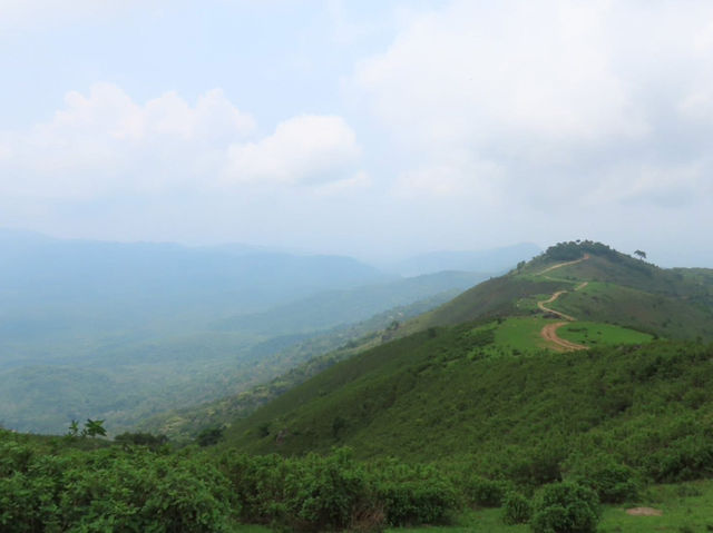 🌳✨タイの秘境、ターク県で数百万年前の奇跡を発見！ 世界最大級の石化した木に感動…自然のパワーを体感しよう🌍🪵