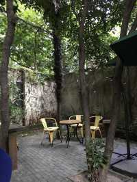 1984 Book Store, A Hidden Literary Haven in Shanghai