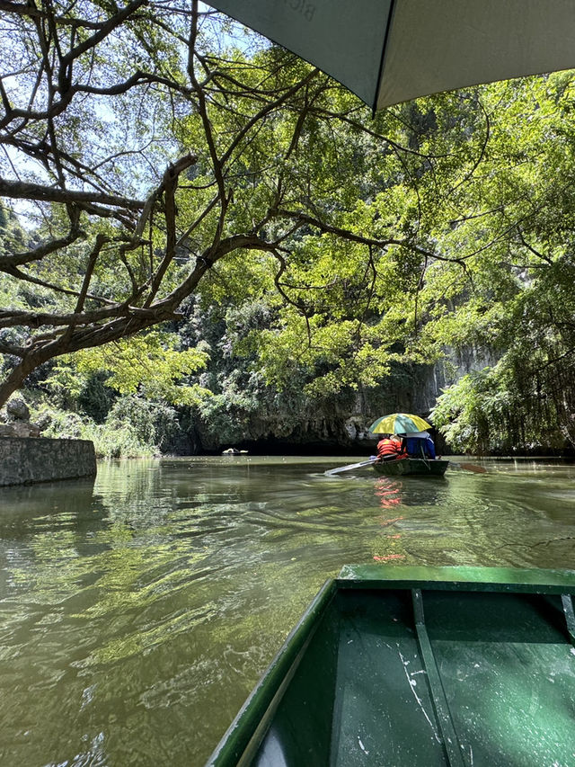 🌿 Glide Through Nature’s Masterpiece – Tam Cốc’s Hidden Wonders