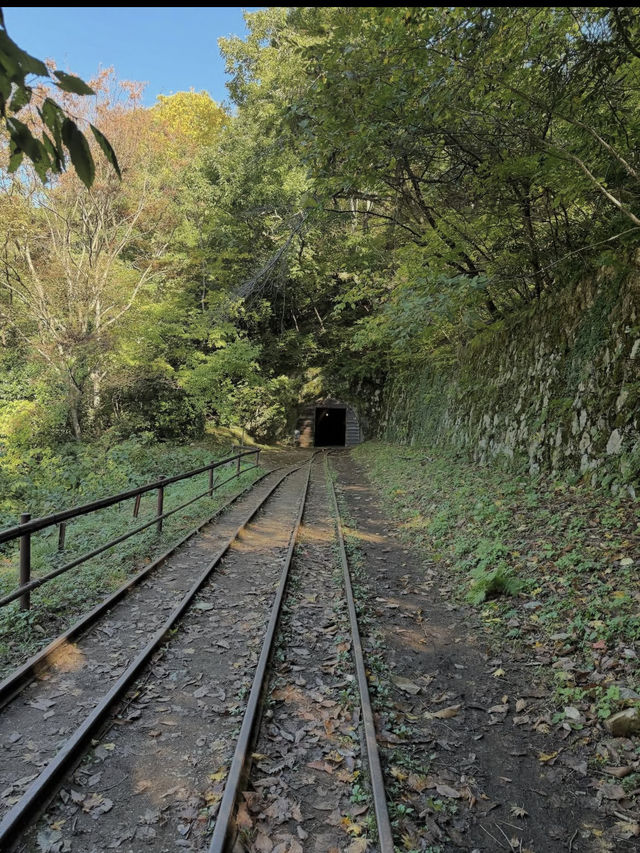 歴史の深層へ。佐渡金山で感じる、時を超えた黄金の記憶⛏️
