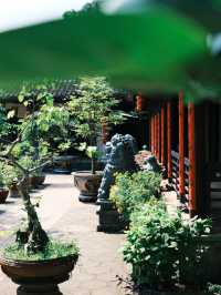 厳かさとカオスが同居した魅力 | 五行山（マーブルマウンテン）